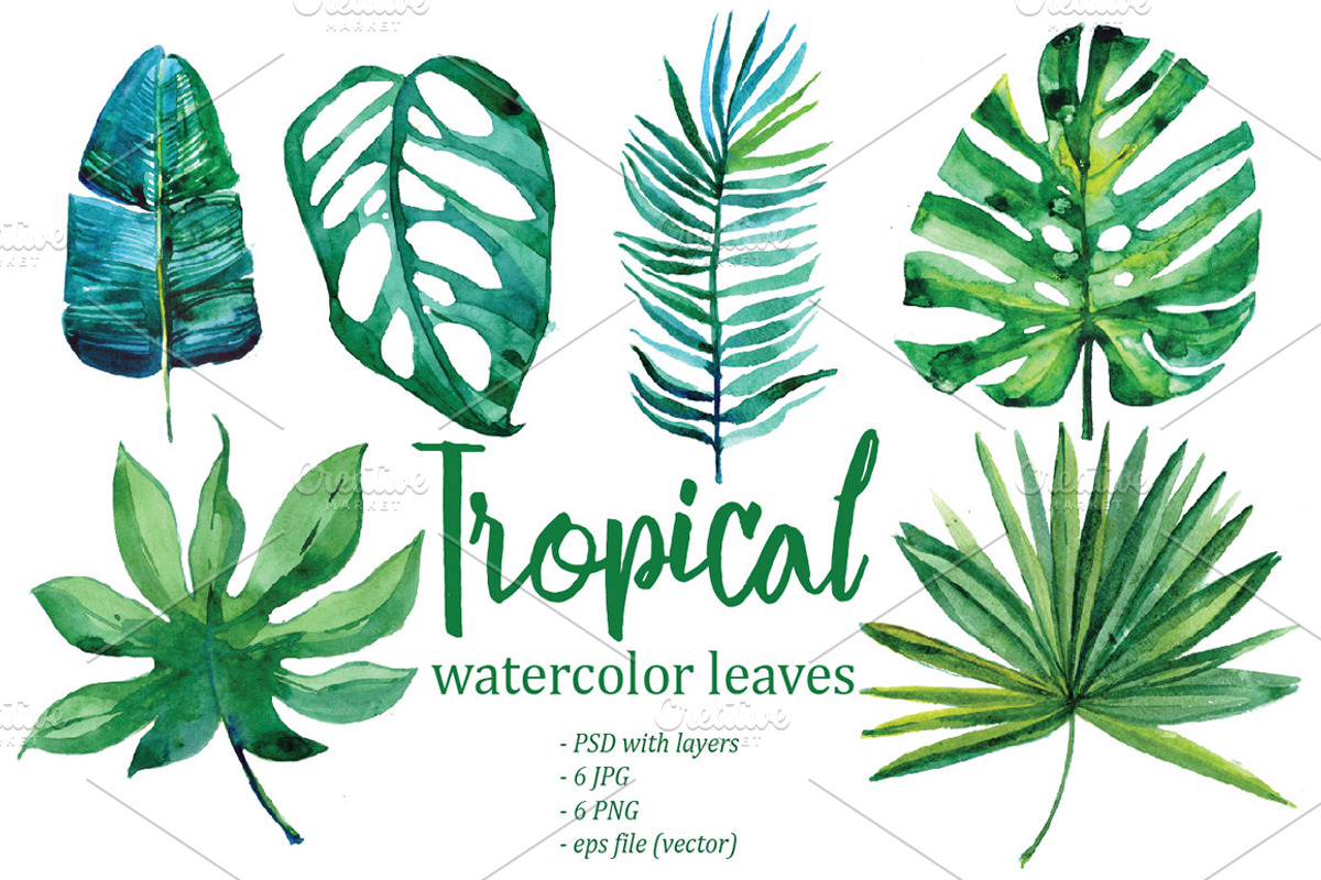 Watercolor tropical leaves, an Illustration by Olesya Morokhovets (Photo 2 of 8)