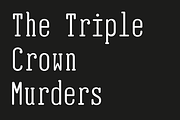 EB Jessica Font Family -50 %, a Font by Erik Bertell Fonts (Thumbnail 4 of 5)