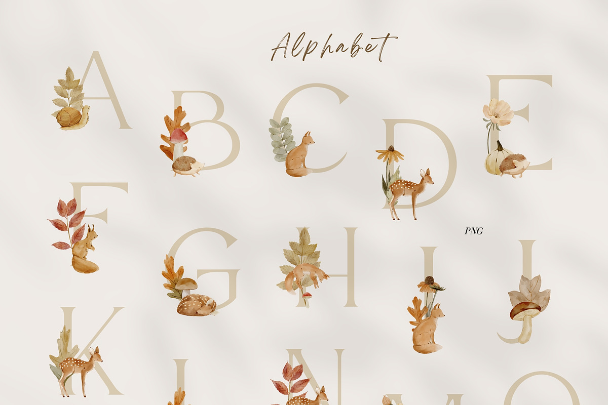 Woodland Watercolor Autumn Set, an Animal Illustration by Jenteva Art (Photo 9 of 15)