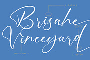 Motion Amusement Modern Signature, a Script Font by Letterena Studios Script (Thumbnail 5 of 15)