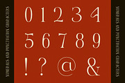 Gorvine – Modern Luxury Serif Font, a Serif Font by Vadovastd (Thumbnail 8 of 9)