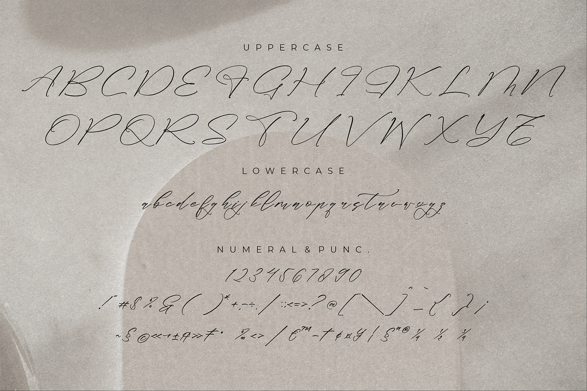 Classthy Theriond Chic Calligraphy, a Script Font by Storytype Studio (Photo 13 of 15)