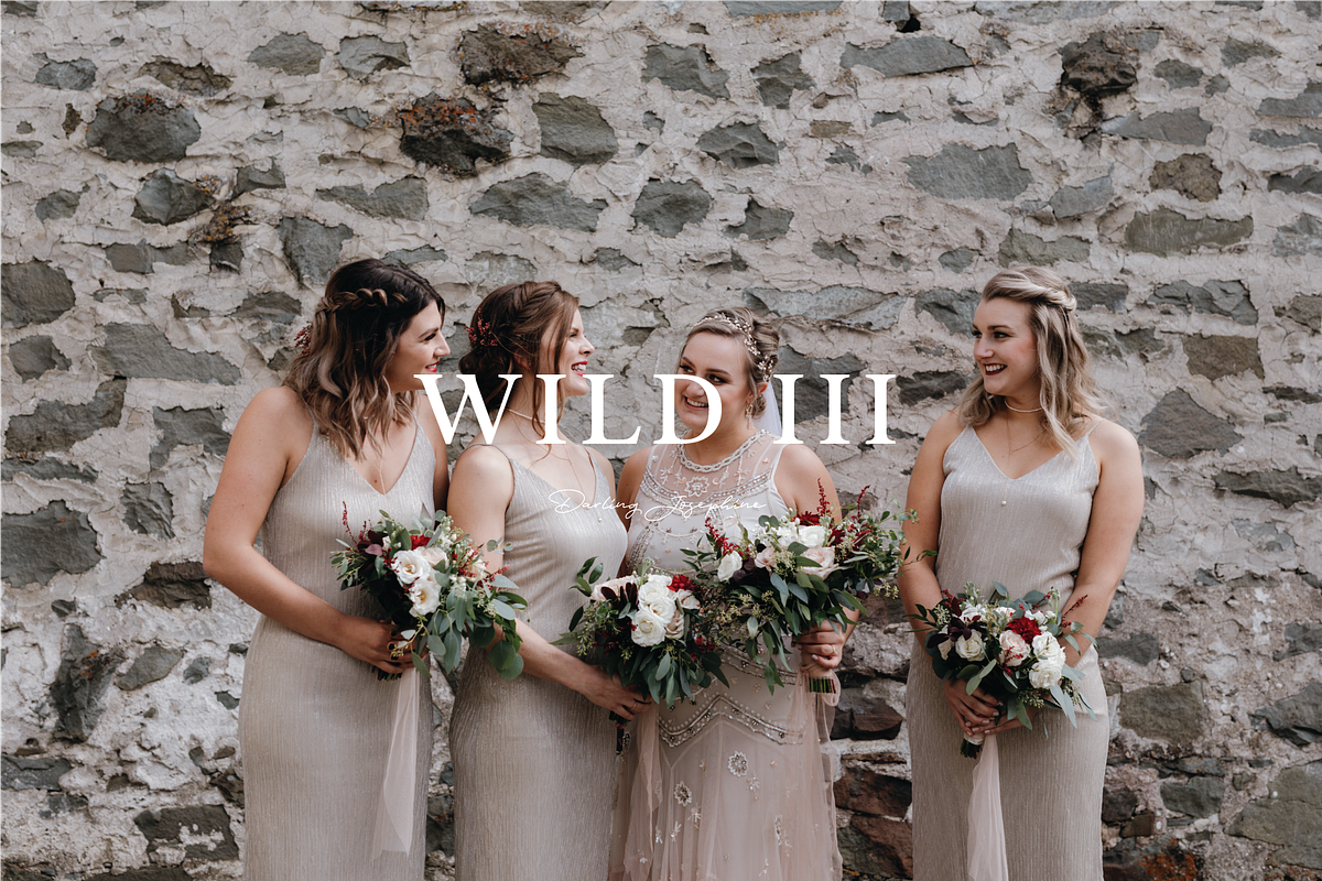 VINTAGE LIGHTROOM & MOBILE PRESET, an Action Add-On by Darling Josephine (Photo 1 of 6)