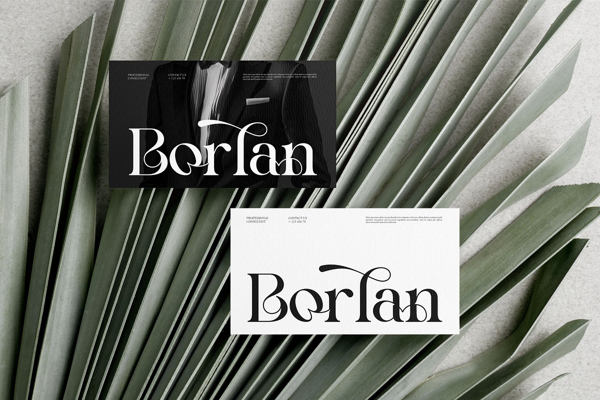 Brokes || Modern Minimalist Serif Fo, a Serif Font by Ermedia Studio (Photo 6 of 10)