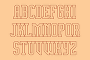 Display University Font, a Serif Font by GG Design (Thumbnail 4 of 8)