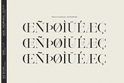 South Epic Dream Font Duo + Logos, a Serif Font by SNIPESCIENTIST (Thumbnail 29 of 32)