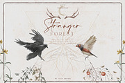 8064 in 1 - GRAPHICS GRAND BUNDLE, an Object Illustration by Julia Dreams (Thumbnail 40 of 50)