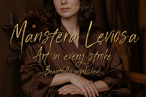 Manstera Leviosa - Expressive Script, a Script Font by HypeWorksCo