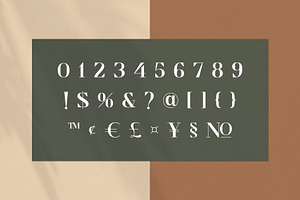 Cronisse - Modern Display Serif