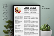 Lake Brave Resume CV 5 Pack, a Resume Template by Stand Out Shop (Thumbnail 2 of 6)