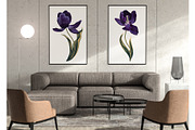 Dark Tulips Vector Set, a Background Graphic by MarynaPetrovska (Thumbnail 11 of 13)