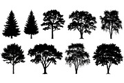 Woodland & Forest Tree Silhouettes B, an Illustration by jahid234 (Thumbnail 28 of 41)