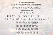 Christmas Wonderland | Script Font, a Script Font by Scratchones (Thumbnail 7 of 8)