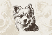 Dog Breeds Portrait Illustrations, an Animal Illustration by Nocturnal Wolf (Thumbnail 7 of 12)