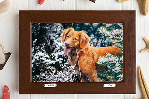 Cute Pets Lightroom Presets