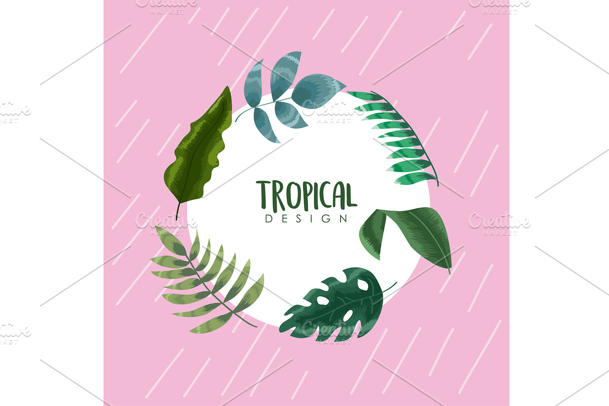 circular frame tropical design, an Illustration by studiogstock