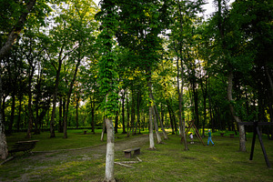 Peaceful park with walking paths surrounded by lush green trees and vegetation, a Person Photo by AS photostudio