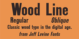 Wood Line JNL, a Sans Serif Font by Jeff Levine Fonts