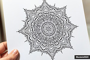 300 Vector Mandala Ornaments, a Decorative Illustration by pixaroma (Thumbnail 42 of 49)