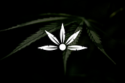 Minimalist Luxury Cannabis Logo, a Branding & Logo Template by Luxury Logos (Thumbnail 2 of 4)