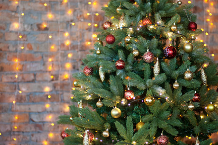 Colorful gifts and presents under a beautiful christmas tree