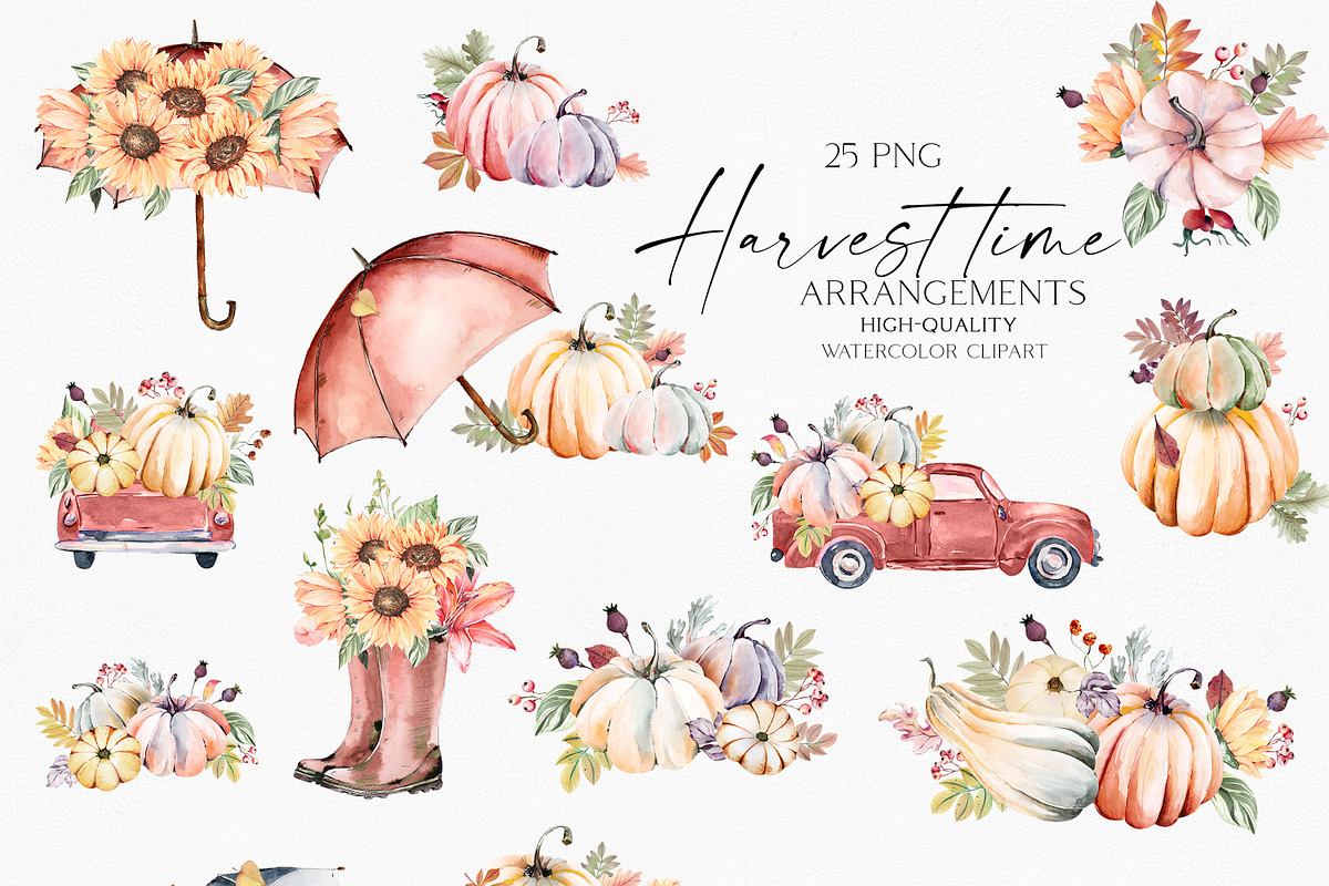Harvest Time Watercolor Set, a Food Illustration by Olga Koelsch (Photo 10 of 14)