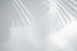 Leaves natural shadow overlay featuring organic, abstract, and architecture