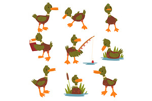 Cute Male Mallard Duck Set, Cute, an Animal Illustration by TopVectors