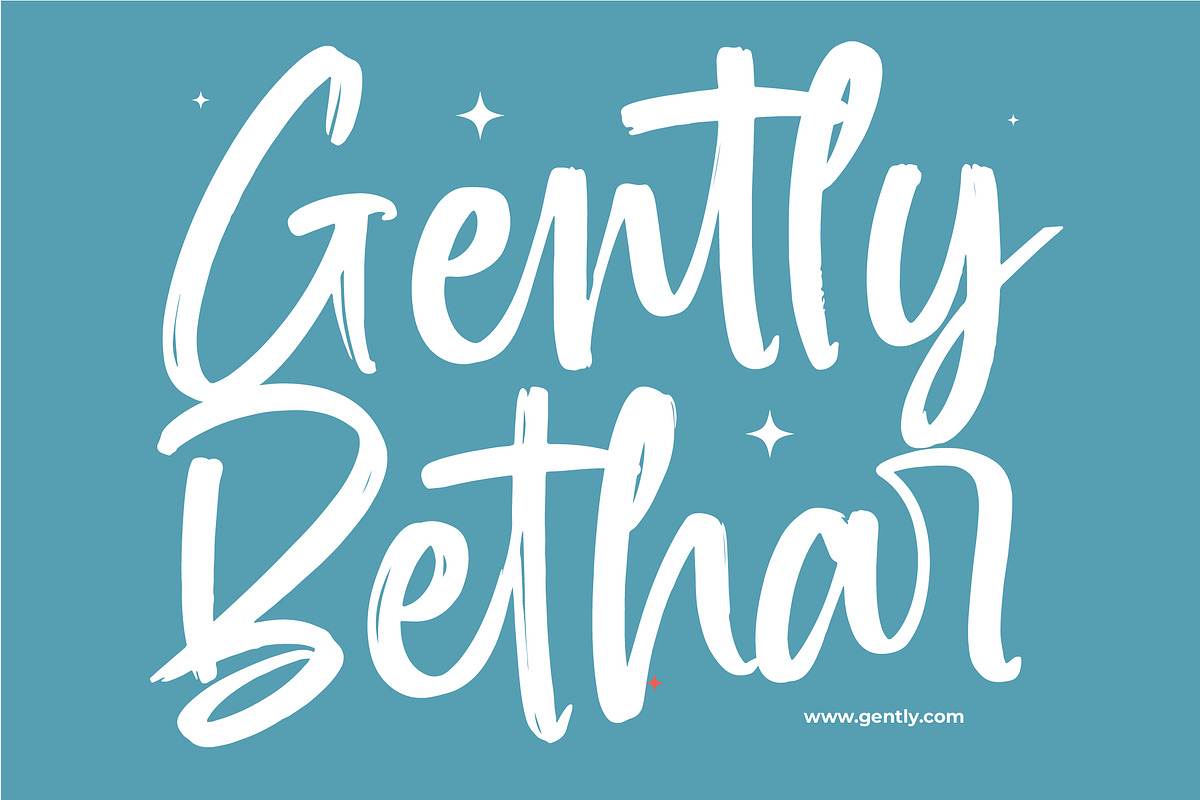Spenty Brother Modern Brush Font, a Script Font by Letterena Studios Script (Photo 8 of 20)