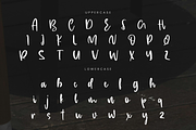 Claseva Script Font, a Script Font by Randi Irvan | Rvandtype (Thumbnail 10 of 11)