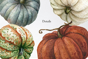 Watercolor Pumpkin Clipart