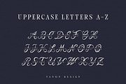 Alogoda Monogram font, luxury brand, a Script Font by Tanondesign (Thumbnail 2 of 4)