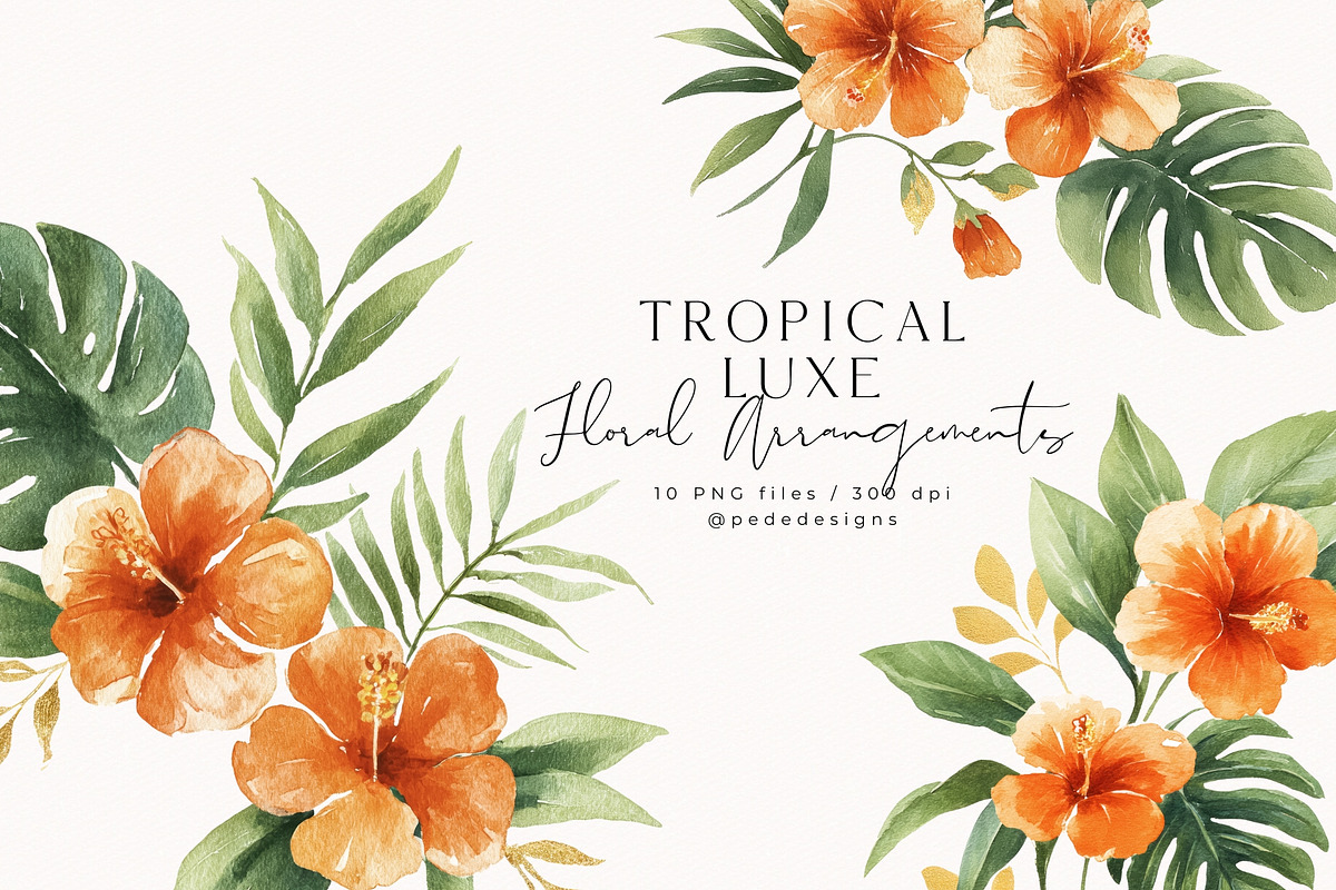 Tropical Luxe Collection, an Illustration by PeDe Designs (Photo 10 of 28)