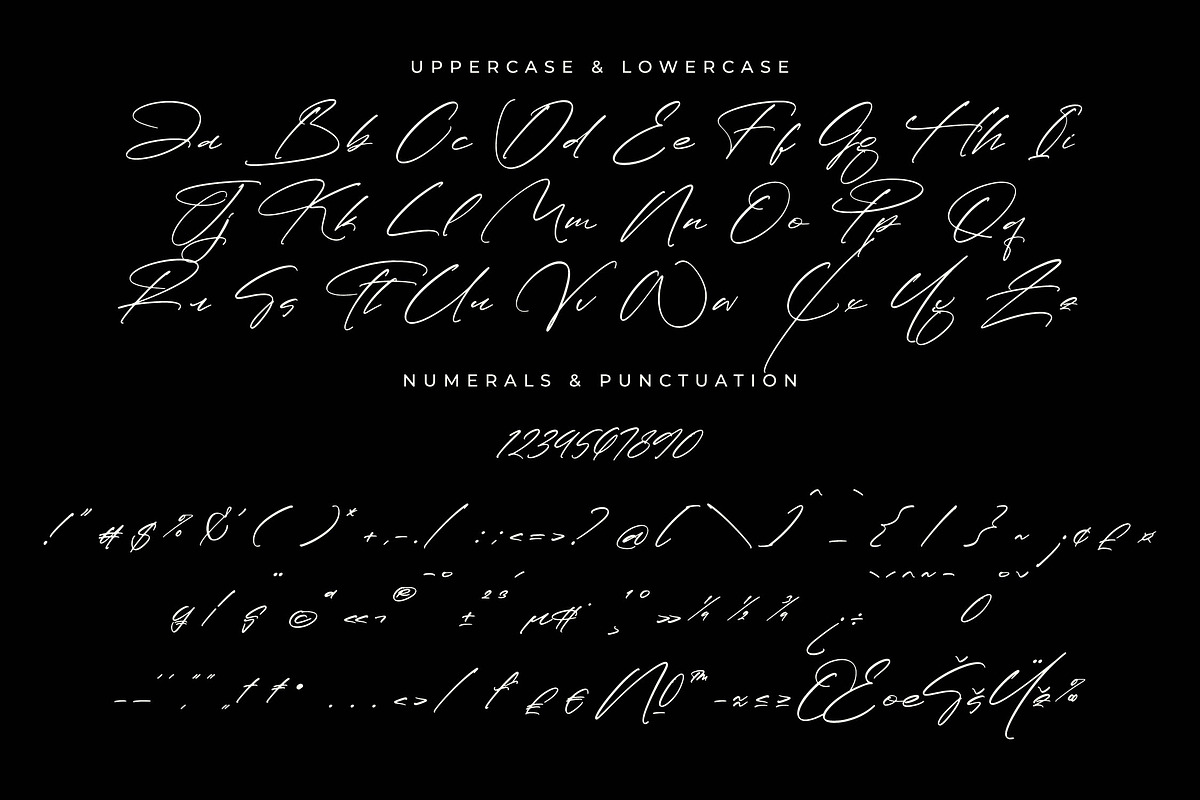 Paradise Stonelife Modern Signature, a Script Font by Letterena Studios Script (Photo 13 of 15)