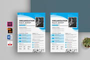 Nonprofit Organization Fact Sheet, a Flyer Template by obayes (Thumbnail 1 of 3)