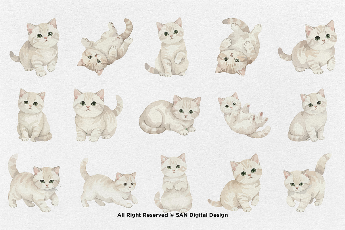15 Bundle Watercolor White Kitten, an Animal Illustration by Morspective (Photo 8 of 8)