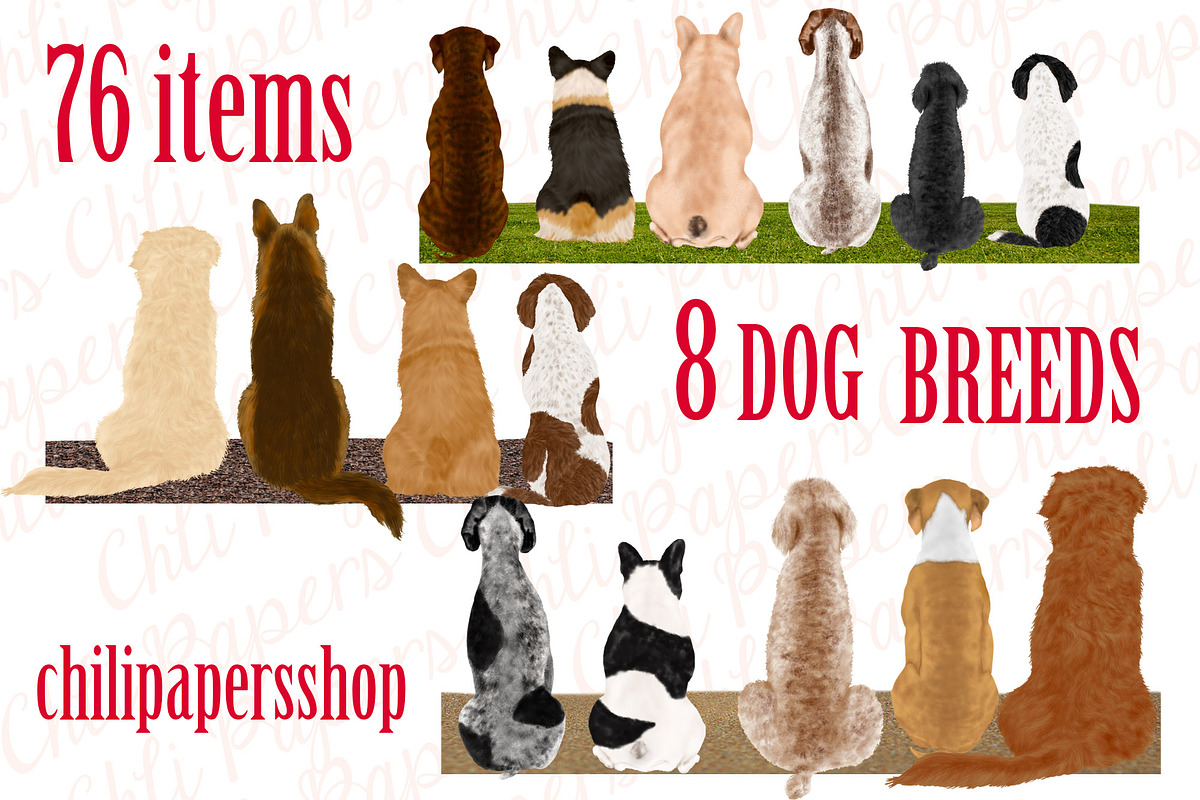 Dog Breeds Clipart,Dogs clip art, an Illustration by chilipapers (Photo 1 of 4)