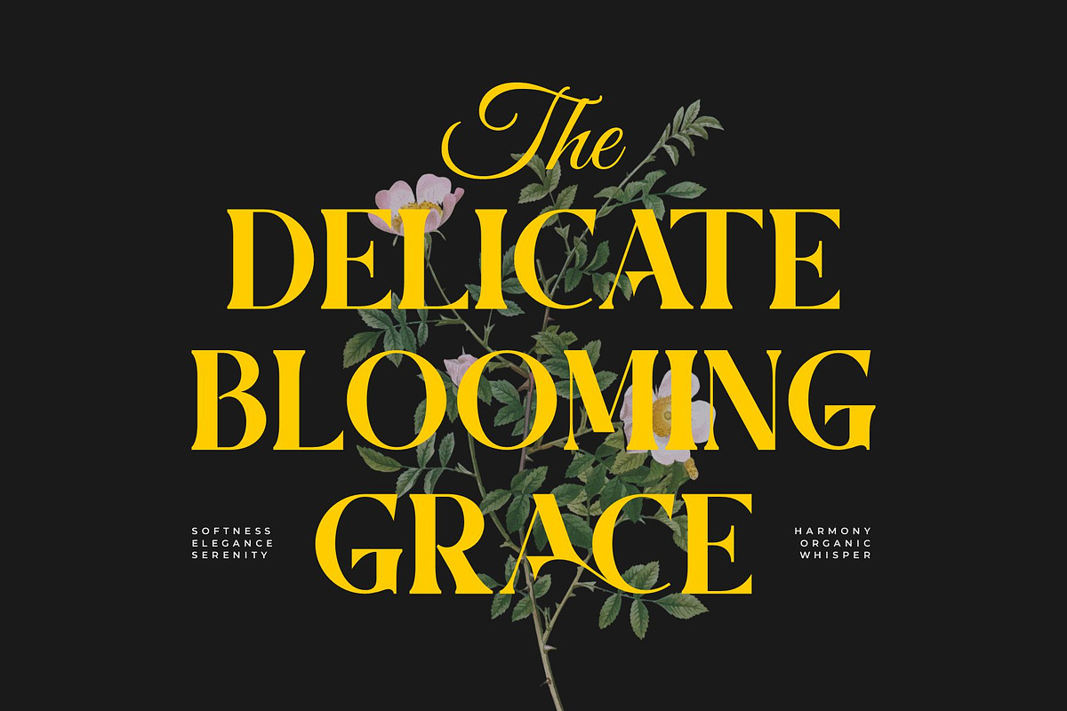 Faseon || Modern Classy Serif Font, a Serif Font by Ermedia Studio (Photo 5 of 10)