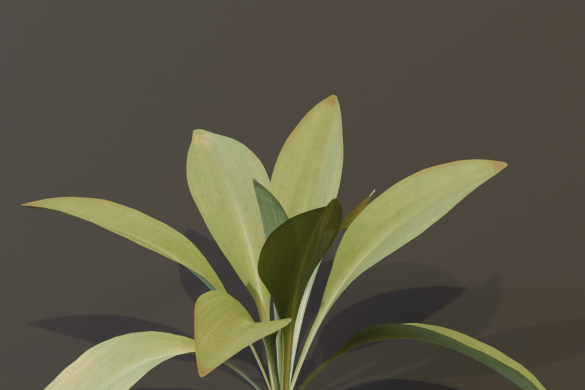 The Haran Bush, a Plants & Tree 3D Model by FuturePastCreatives (Photo 11 of 13)