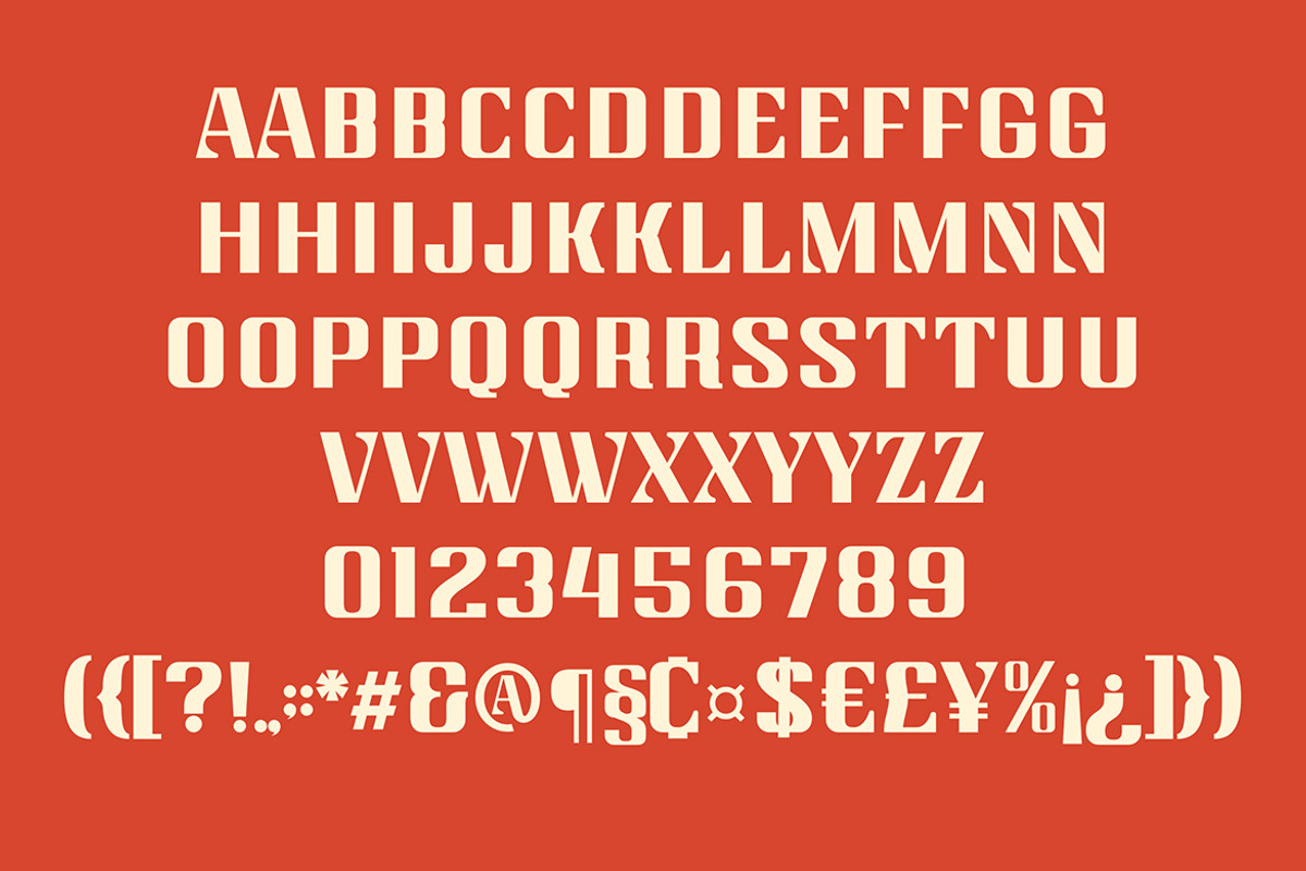 Nortone | Modern Sans, a Serif Font by Almeera Std (Photo 4 of 7)