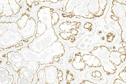 Marble textures 8000 x 8000 px, a Texture Graphic by tkdesign (Thumbnail 5 of 21)