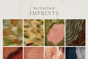 Botanical Imprints: Floral & Paper, an Object Graphic by Yuliya Derbisheva (Thumbnail 9 of 10)