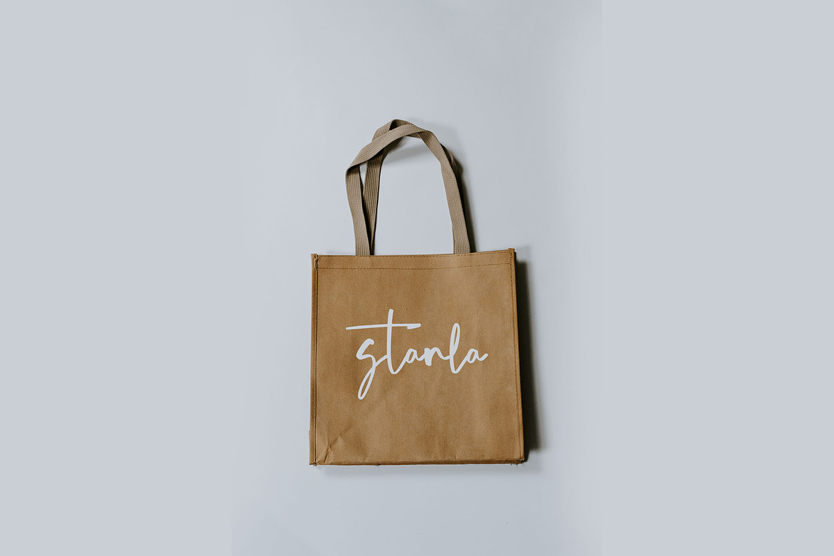 Petraloka Brush Script Font, a Script Font by NTC Graphic (Photo 5 of 9)