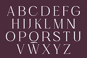 Imperial Aureas a Minimal Serif, a Serif Font by Lettertype Studio (Thumbnail 9 of 16)