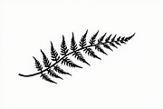 8 Fern Leaf Silhouette Bundle, an Illustration by BIPLOB EXPERT (Thumbnail 9 of 9)