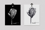 Botanical cards collection, a Decorative Illustration by Art AleshkaK (Thumbnail 2 of 8)