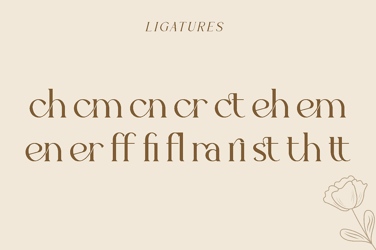Fluxerist, a Serif Font by Rishsketch (Photo 11 of 13)