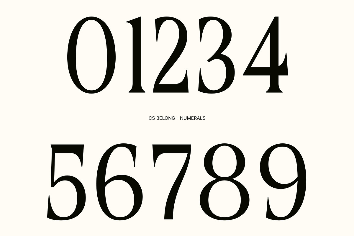 CS Belong – Contemporary Font, a Serif Font by Craft Supply Co. (Photo 5 of 8)