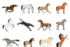 Best Horses Breeds Icons Collection