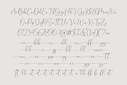 Marlotte | Modern Calligraphy Script, a Script Font by Typoraith Co (Thumbnail 3 of 11)